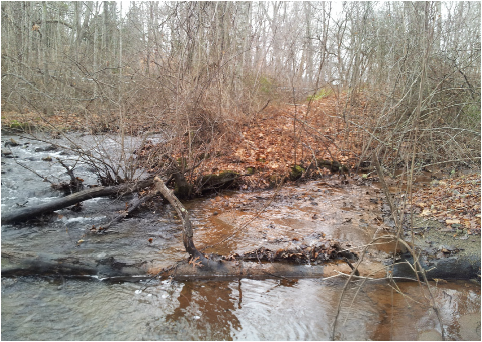 A view upstream, looking northwest, at the confluence of Whitford Brook and an unnamed tributary on the Ledyard parcel.